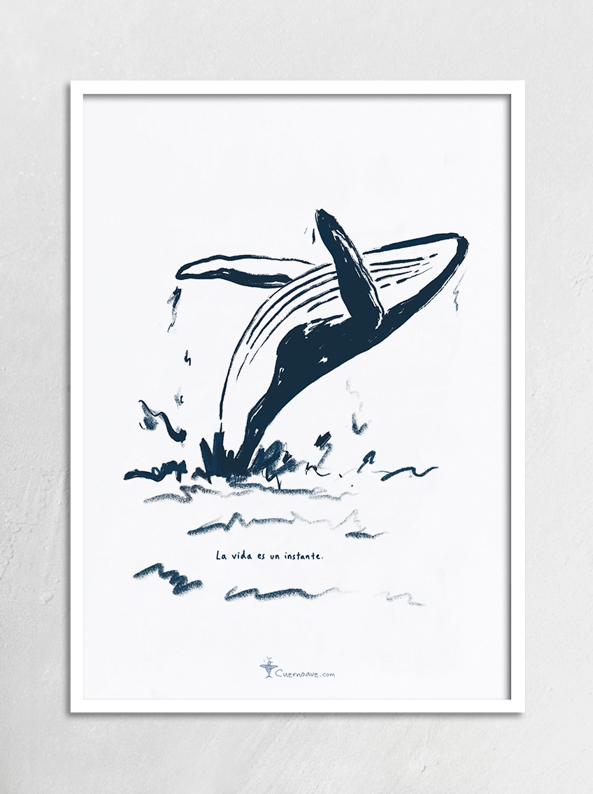 La vida es un instante